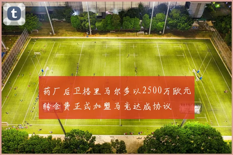 药厂后卫格里马尔多以2500万欧元转会费正式加盟马竞达成协议